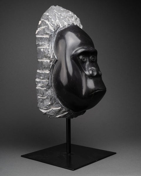 Michel GARINO (1962-, France) Tête de gorille, Taille directe sur marbre noir (Vallée de la Roja)