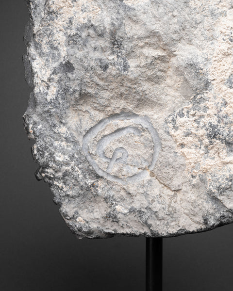 Michel GARINO (1962-, France) Tête de gorille, Taille directe sur marbre noir (Vallée de la Roja)