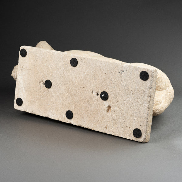 Bison d'amérique - Taille directe sur pierre calcaire blanche