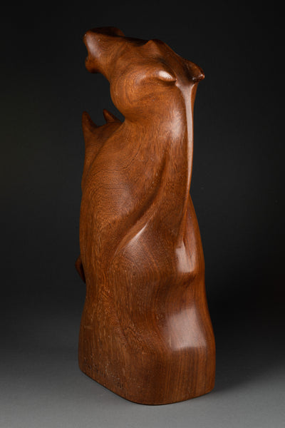 Max MEDER - Tetes de cheveaux - Bois sculpté - Vers 1950 - Collection's - Romain & Henri Hayat