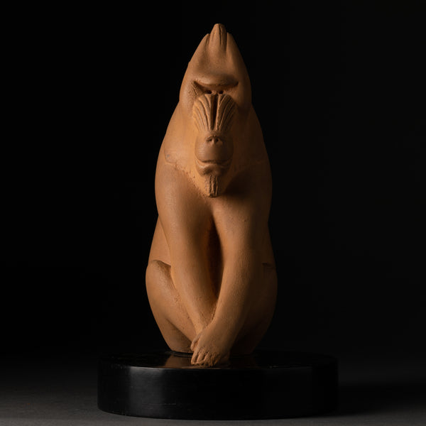 Henri PAQUET (1898-1975) Hamadryas Monkey - Terracotta - Circa 1940